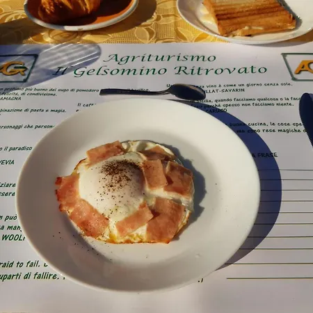 Il Gelsomino Ritrovato *