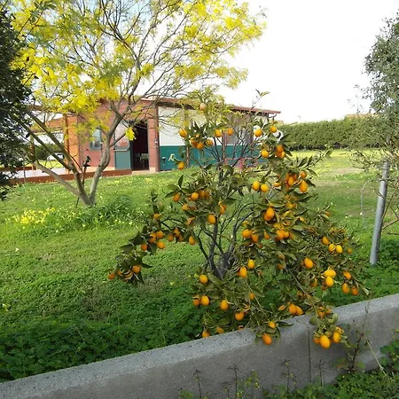 Il Gelsomino Ritrovato *
