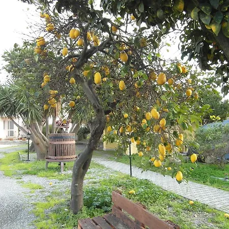 Il Gelsomino Ritrovato Alloggio per agriturismo Milazzo