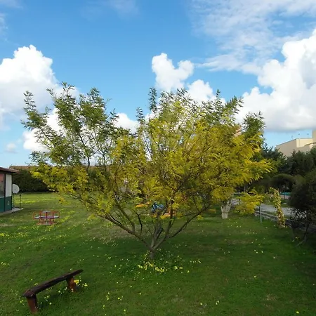 Il Gelsomino Ritrovato * Milazzo