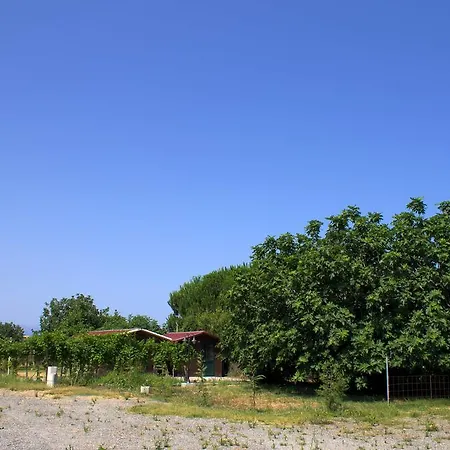 Il Gelsomino Ritrovato Alloggio per agriturismo