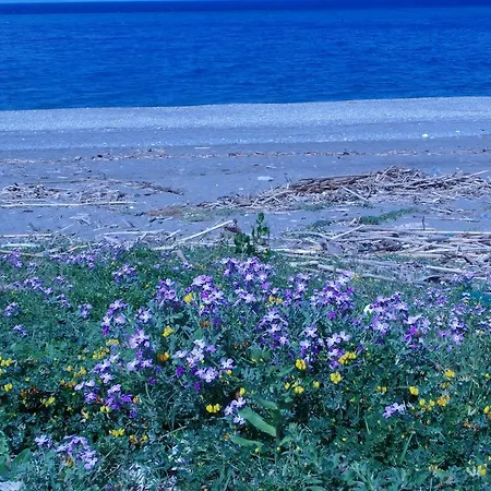 Il Gelsomino Ritrovato Alloggio per agriturismo Milazzo