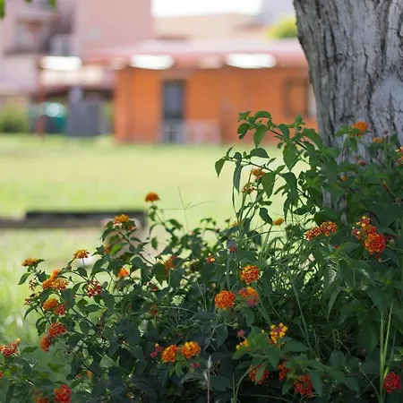 Il Gelsomino Ritrovato Alloggio per agriturismo