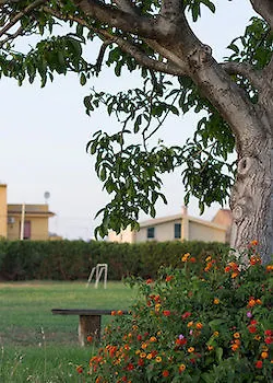 Alloggio per agriturismo Il Gelsomino Ritrovato