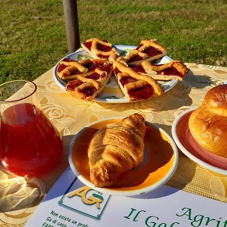 Il Gelsomino Ritrovato