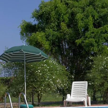 Il Gelsomino Ritrovato